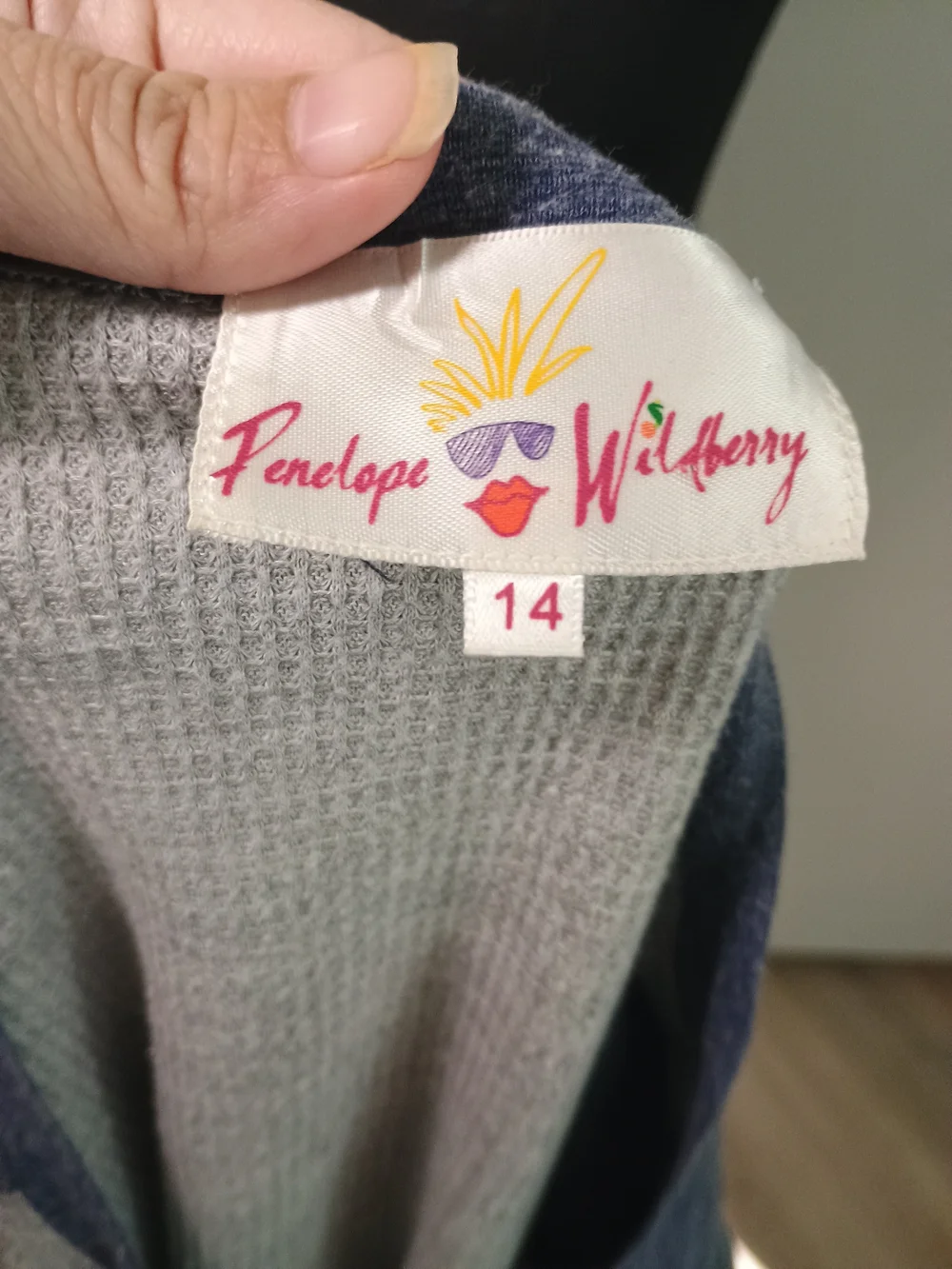 Penelope Wildberry Girl's Graphic Raglan Top Blue & White Size 14 Like New